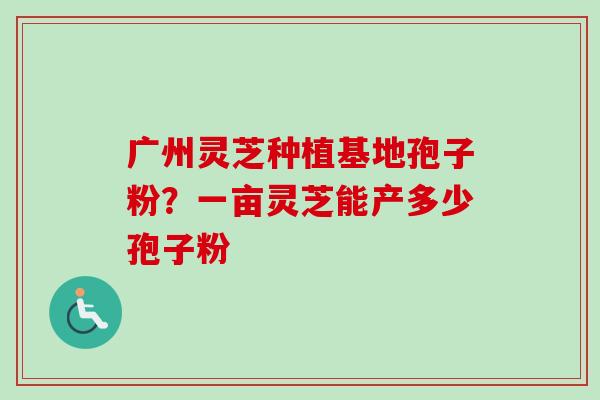 广州灵芝种植基地孢子粉?一亩灵芝能产多少孢子粉 广州灵芝种植基地孢子粉?一亩灵芝能产多少孢子粉