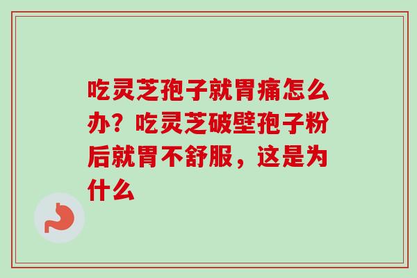 吃灵芝孢子就胃痛怎么办?吃灵芝破壁孢子粉后就胃不舒服,这是为什么 吃灵芝孢子就胃痛怎么办?吃灵芝破壁孢子粉后就胃不舒服,这是为什么