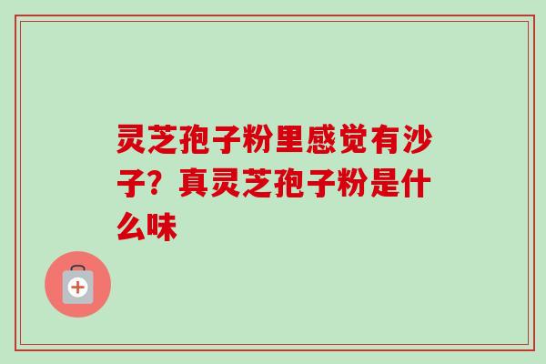 灵芝孢子粉里感觉有沙子?真灵芝孢子粉是什么味 灵芝孢子粉里感觉有沙子?真灵芝孢子粉是什么味
