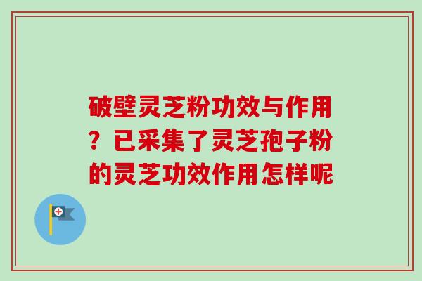 破壁灵芝粉功效与作用?已采集了灵芝孢子粉的灵芝功效作用怎样呢 破壁灵芝粉功效与作用?已采集了灵芝孢子粉的灵芝功效作用怎样呢