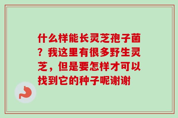 什么样能长灵芝孢子菌?我这里有很多野生灵芝,但是要怎样才可以找到它的种子呢谢谢 什么样能长灵芝孢子菌?我这里有很多野生灵芝,但是要怎样才可以找到它的种子呢谢谢