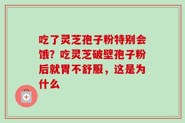 吃了灵芝孢子粉特别会饿?吃灵芝破壁孢子粉后就胃不舒服,这是为什么 吃了灵芝孢子粉特别会饿?吃灵芝破壁孢子粉后就胃不舒服,这是为什么