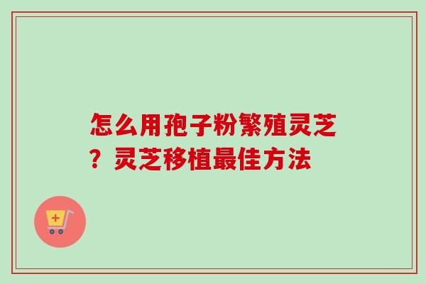 怎么用孢子粉繁殖灵芝？灵芝移植佳方法