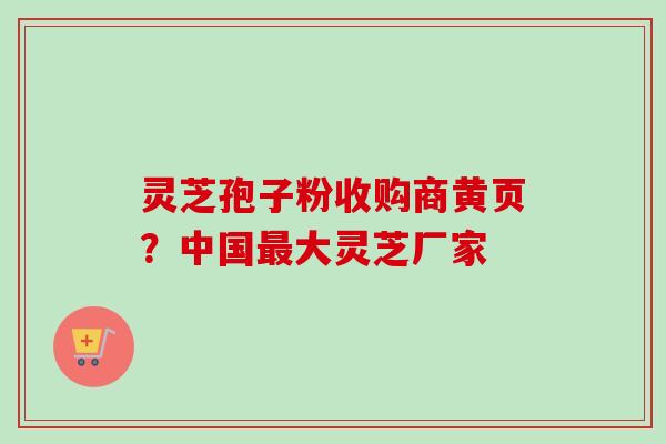 灵芝孢子粉收购商黄页?中国大灵芝厂家 灵芝孢子粉收购商黄页?中国大灵芝厂家