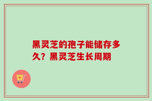 黑灵芝的孢子能储存多久?黑灵芝生长周期 黑灵芝的孢子能储存多久?黑灵芝生长周期