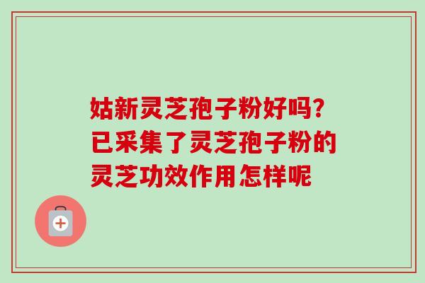 姑新灵芝孢子粉好吗?已采集了灵芝孢子粉的灵芝功效作用怎样呢 姑新灵芝孢子粉好吗?已采集了灵芝孢子粉的灵芝功效作用怎样呢