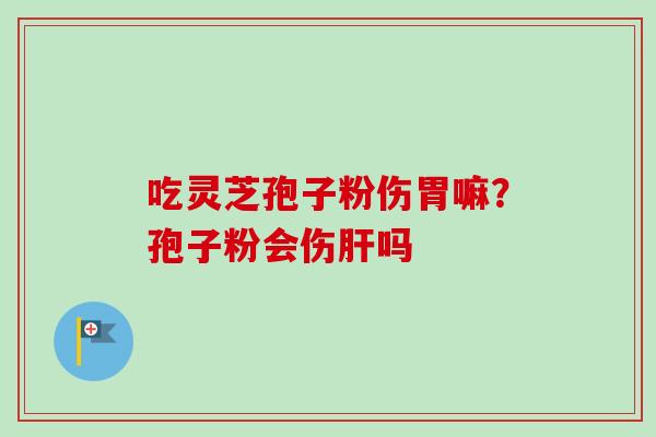 吃灵芝孢子粉伤胃嘛?孢子粉会伤吗 吃灵芝孢子粉伤胃嘛?孢子粉会伤吗