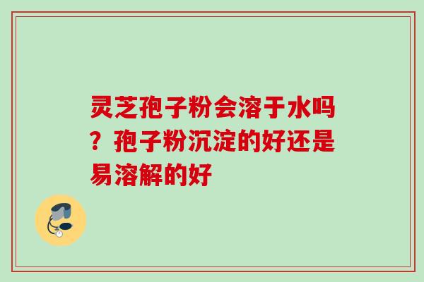 灵芝孢子粉会溶于水吗?孢子粉沉淀的好还是易溶解的好 灵芝孢子粉会溶于水吗?孢子粉沉淀的好还是易溶解的好