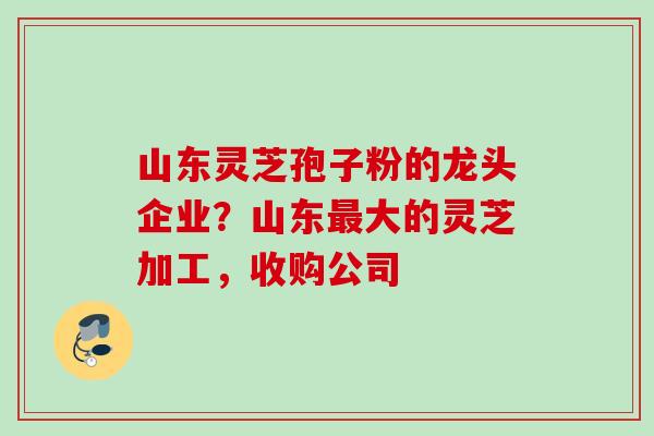 山东灵芝孢子粉的龙头企业?山东大的灵芝加工,收购公司 山东灵芝孢子粉的龙头企业?山东大的灵芝加工,收购公司