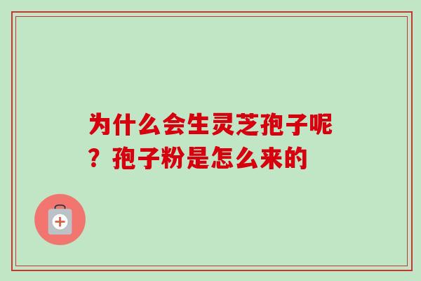 为什么会生灵芝孢子呢?孢子粉是怎么来的 为什么会生灵芝孢子呢?孢子粉是怎么来的