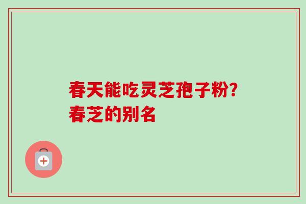 春天能吃灵芝孢子粉?春芝的别名 春天能吃灵芝孢子粉?春芝的别名
