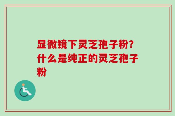 显微镜下灵芝孢子粉？什么是纯正的灵芝孢子粉