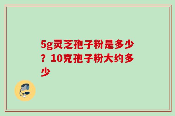 5g灵芝孢子粉是多少？10克孢子粉大约多少