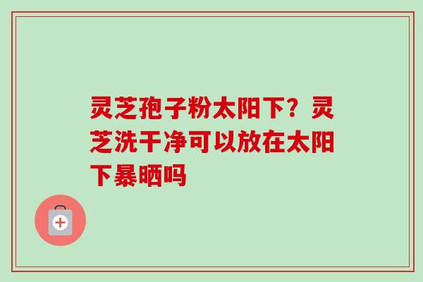 灵芝孢子粉太阳下?灵芝洗干净可以放在太阳下暴晒吗 灵芝孢子粉太阳下?灵芝洗干净可以放在太阳下暴晒吗