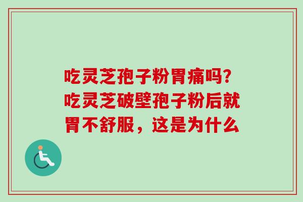 吃灵芝孢子粉胃痛吗？吃灵芝破壁孢子粉后就胃不舒服，这是为什么