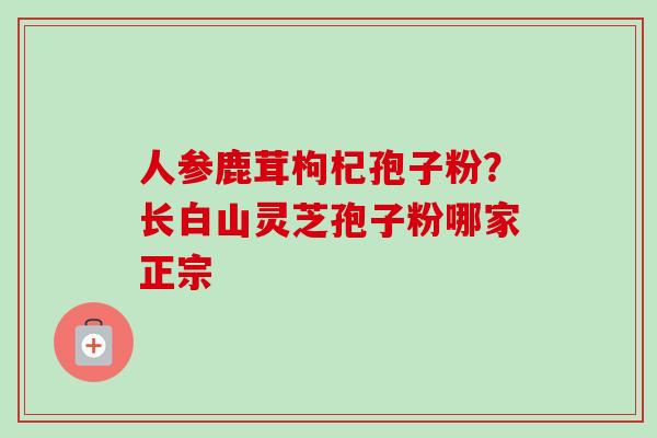 人参鹿茸枸杞孢子粉?长白山灵芝孢子粉哪家正宗 人参鹿茸枸杞孢子粉?长白山灵芝孢子粉哪家正宗