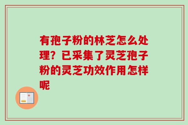 有孢子粉的林芝怎么处理?已采集了灵芝孢子粉的灵芝功效作用怎样呢 有孢子粉的林芝怎么处理?已采集了灵芝孢子粉的灵芝功效作用怎样呢