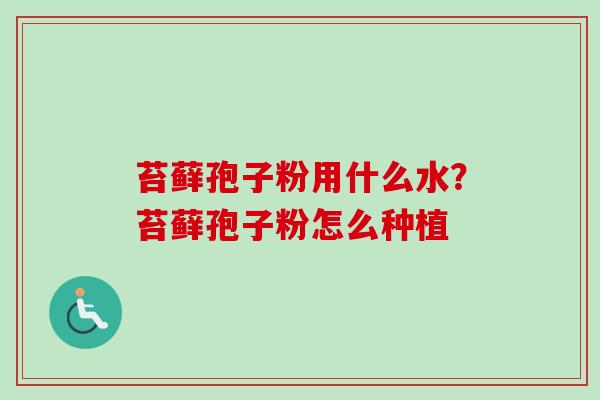 苔藓孢子粉用什么水?苔藓孢子粉怎么种植 苔藓孢子粉用什么水?苔藓孢子粉怎么种植