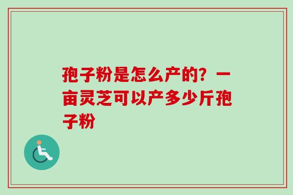 孢子粉是怎么产的？一亩灵芝可以产多少斤孢子粉