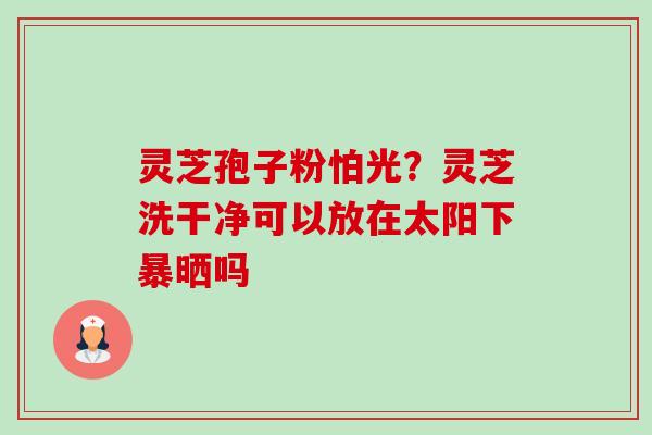 灵芝孢子粉怕光?灵芝洗干净可以放在太阳下暴晒吗 灵芝孢子粉怕光?灵芝洗干净可以放在太阳下暴晒吗