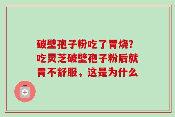 破壁孢子粉吃了胃烧?吃灵芝破壁孢子粉后就胃不舒服,这是为什么 破壁孢子粉吃了胃烧?吃灵芝破壁孢子粉后就胃不舒服,这是为什么