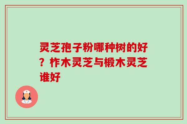 灵芝孢子粉哪种树的好?柞木灵芝与椴木灵芝谁好 灵芝孢子粉哪种树的好?柞木灵芝与椴木灵芝谁好