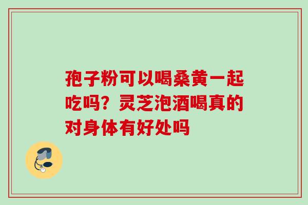 孢子粉可以喝桑黄一起吃吗？灵芝泡酒喝真的对身体有好处吗