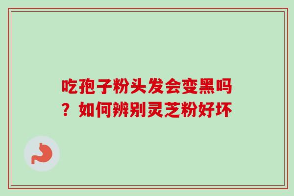 吃孢子粉头发会变黑吗?如何辨别灵芝粉好坏 吃孢子粉头发会变黑吗?如何辨别灵芝粉好坏