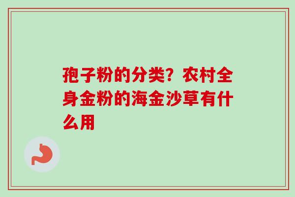 孢子粉的分类?农村全身金粉的海金沙草有什么用 孢子粉的分类?农村全身金粉的海金沙草有什么用