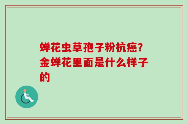 蝉花虫草孢子粉抗?金蝉花里面是什么样子的 蝉花虫草孢子粉抗?金蝉花里面是什么样子的