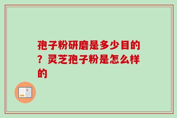 孢子粉研磨是多少目的？灵芝孢子粉是怎么样的