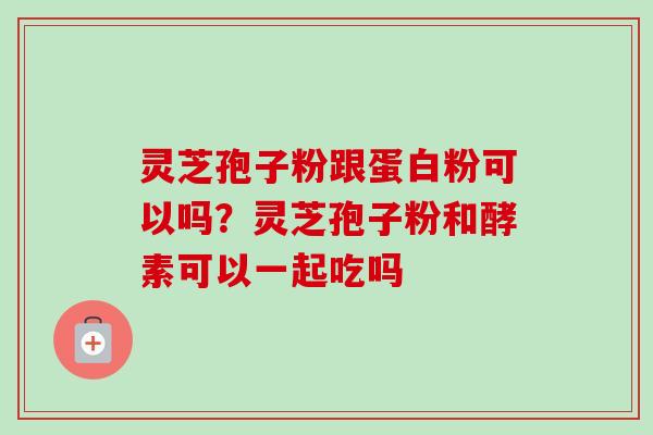灵芝孢子粉跟蛋白粉可以吗？灵芝孢子粉和酵素可以一起吃吗