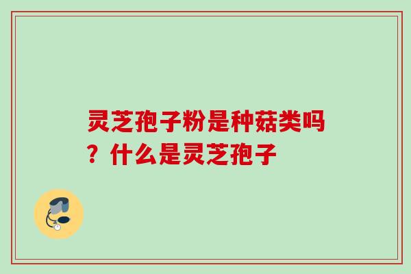 灵芝孢子粉是种菇类吗?什么是灵芝孢子 灵芝孢子粉是种菇类吗?什么是灵芝孢子
