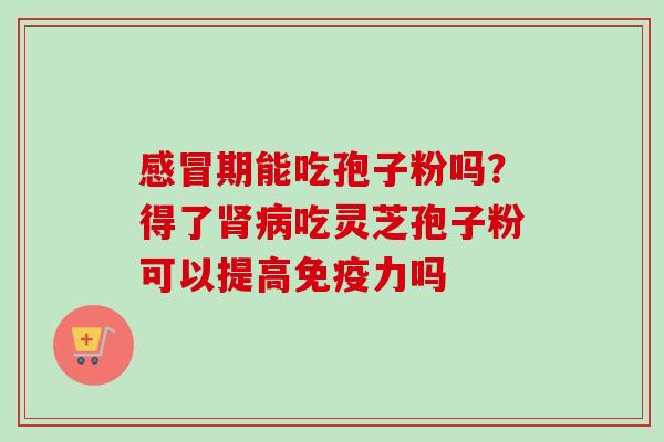 期能吃孢子粉吗？得了吃灵芝孢子粉可以提高免疫力吗