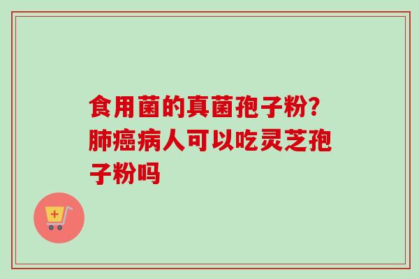 食用菌的真菌孢子粉？人可以吃灵芝孢子粉吗