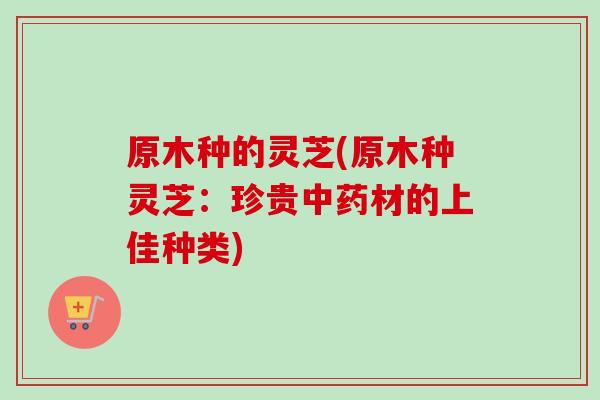 原木种的灵芝(原木种灵芝:珍贵材的上佳种类) 原木种的灵芝(原木种灵芝:珍贵材的上佳种类)