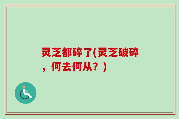 灵芝都碎了(灵芝破碎，何去何从？)