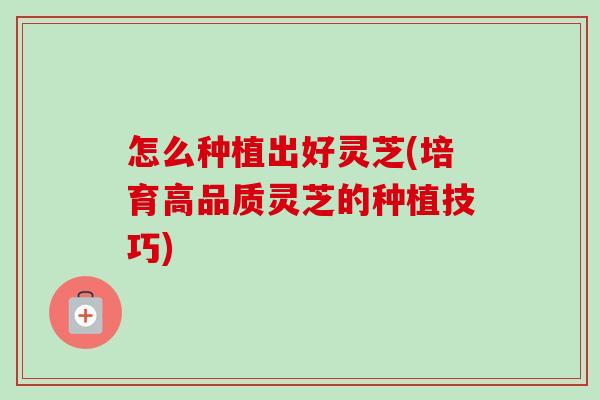 怎么种植出好灵芝(培育高品质灵芝的种植技巧) 怎么种植出好灵芝(培育高品质灵芝的种植技巧)