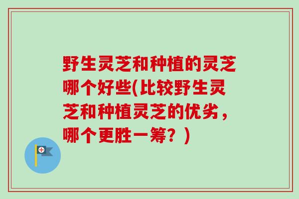 野生灵芝和种植的灵芝哪个好些(比较野生灵芝和种植灵芝的优劣,哪个更胜一筹?) 野生灵芝和种植的灵芝哪个好些(比较野生灵芝和种植灵芝的优劣,哪个更胜一筹?)