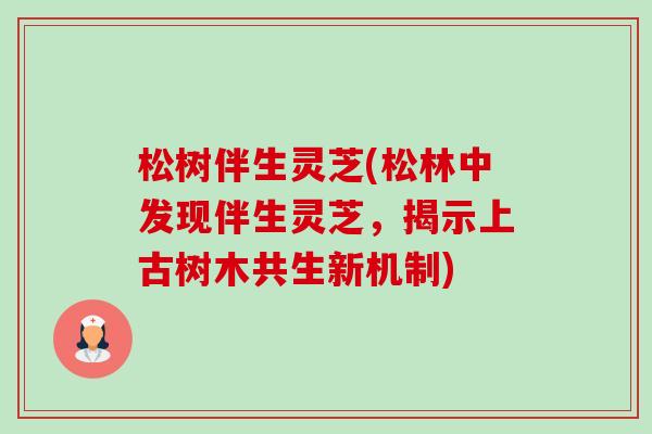 松树伴生灵芝(松林中发现伴生灵芝，揭示上古树木共生新机制)
