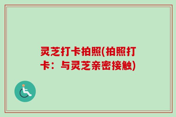 灵芝打卡拍照(拍照打卡：与灵芝亲密接触)