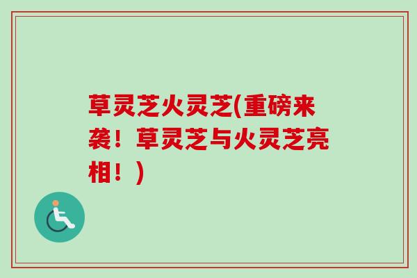 草灵芝火灵芝(重磅来袭!草灵芝与火灵芝亮相!) 草灵芝火灵芝(重磅来袭!草灵芝与火灵芝亮相!)