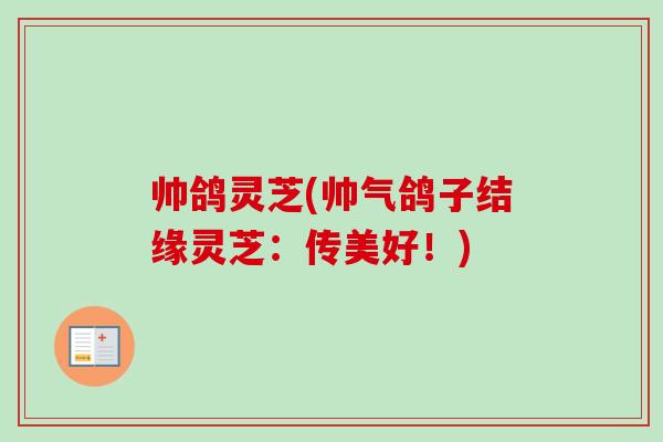 帅鸽灵芝(帅气鸽子结缘灵芝：传美好！)