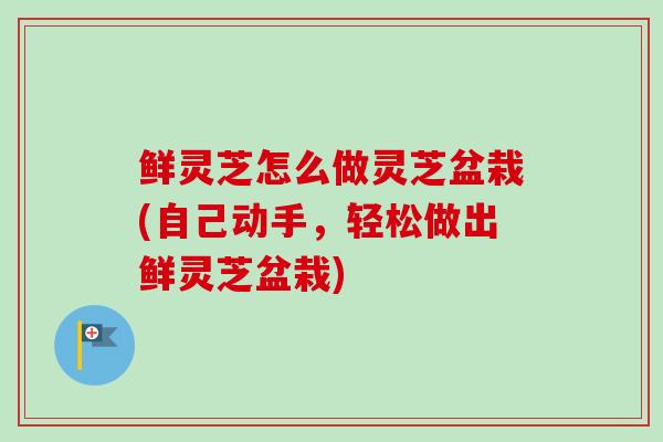 鲜灵芝怎么做灵芝盆栽(自己动手,轻松做出鲜灵芝盆栽) 鲜灵芝怎么做灵芝盆栽(自己动手,轻松做出鲜灵芝盆栽)