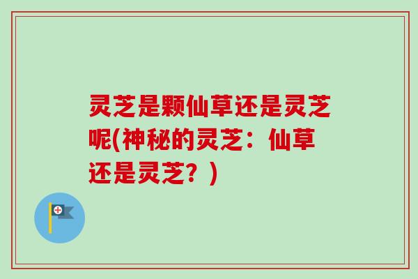 灵芝是颗仙草还是灵芝呢(神秘的灵芝：仙草还是灵芝？)