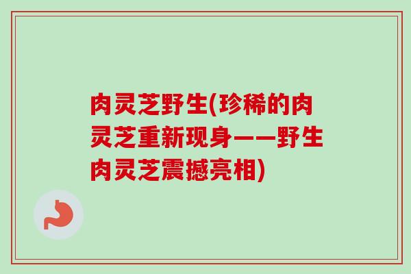 肉灵芝野生(珍稀的肉灵芝重新现身——野生肉灵芝震撼亮相) 肉灵芝野生(珍稀的肉灵芝重新现身——野生肉灵芝震撼亮相)