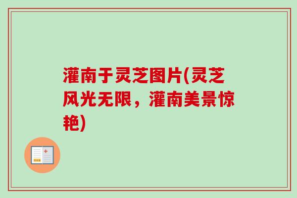 灌南于灵芝图片(灵芝风光无限，灌南美景惊艳)