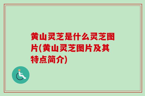 黄山灵芝是什么灵芝图片(黄山灵芝图片及其特点简介) 黄山灵芝是什么灵芝图片(黄山灵芝图片及其特点简介)