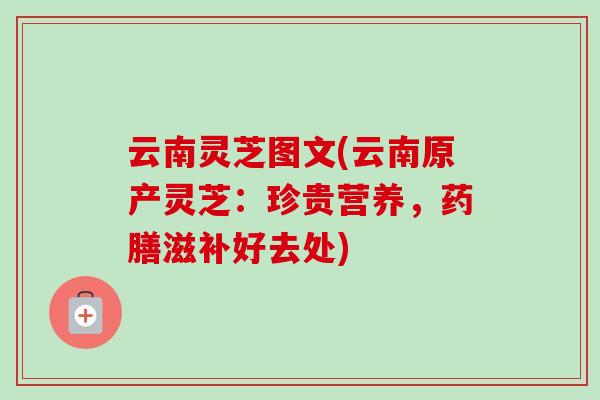 云南灵芝图文(云南原产灵芝：珍贵营养，药膳滋补好去处)