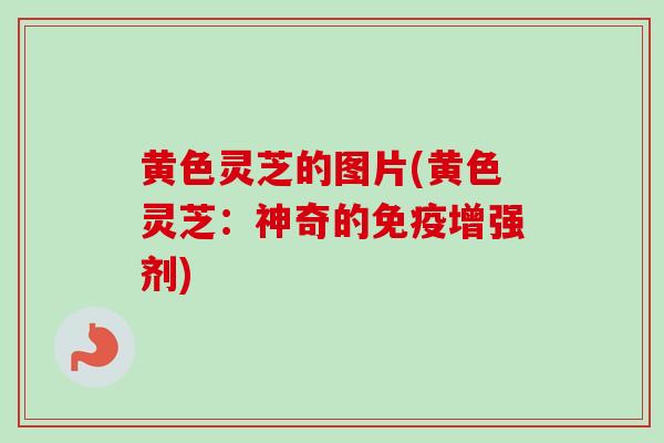 黄色灵芝的图片(黄色灵芝:神奇的免疫增强剂) 黄色灵芝的图片(黄色灵芝:神奇的免疫增强剂)